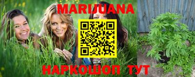 гидра Краснодар