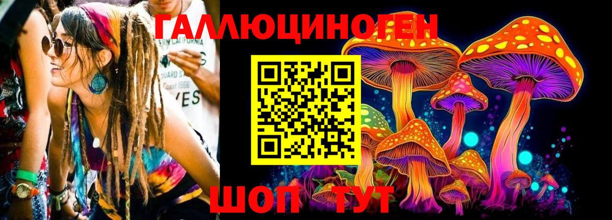 купить наркотик  Псилоцибиновые грибы GOLDEN TEACHER  Вход с VPN  Избербаш 